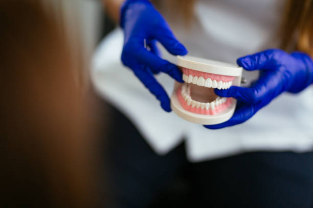 Trusted Benton, LA Dental Services Experts